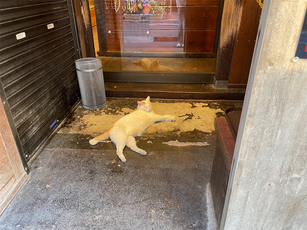 f:id:chieko1102:20250708151155j:image