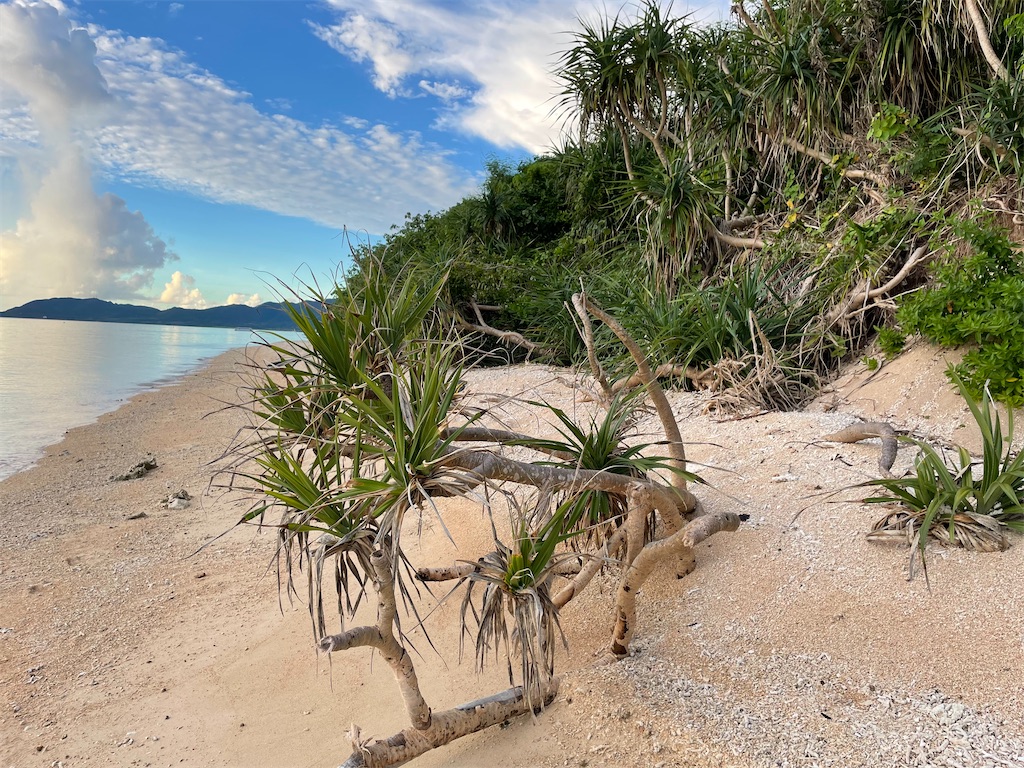 f:id:chieko1102:20250708153231j:image