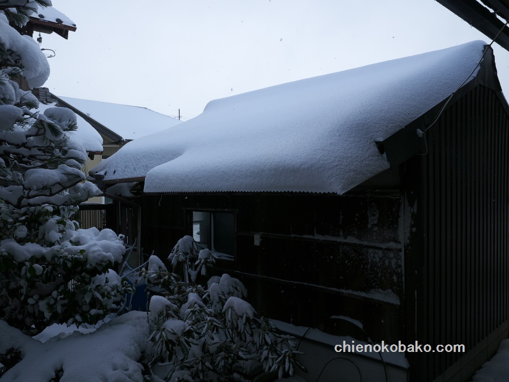 f:id:chienokobako:20170115152336j:plain f:id:chienokobako:20170115152336j:plain