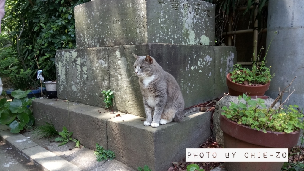 f:id:chietech:20180503134545j:plain