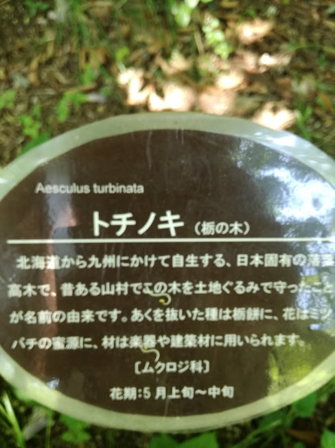 f:id:chietiara:20180425181918j:plain