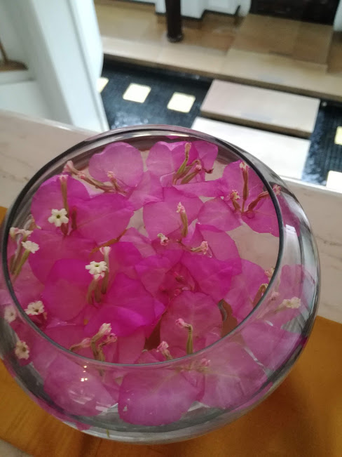 f:id:chietiara:20180725095616j:plain f:id:chietiara:20180725095616j:plain