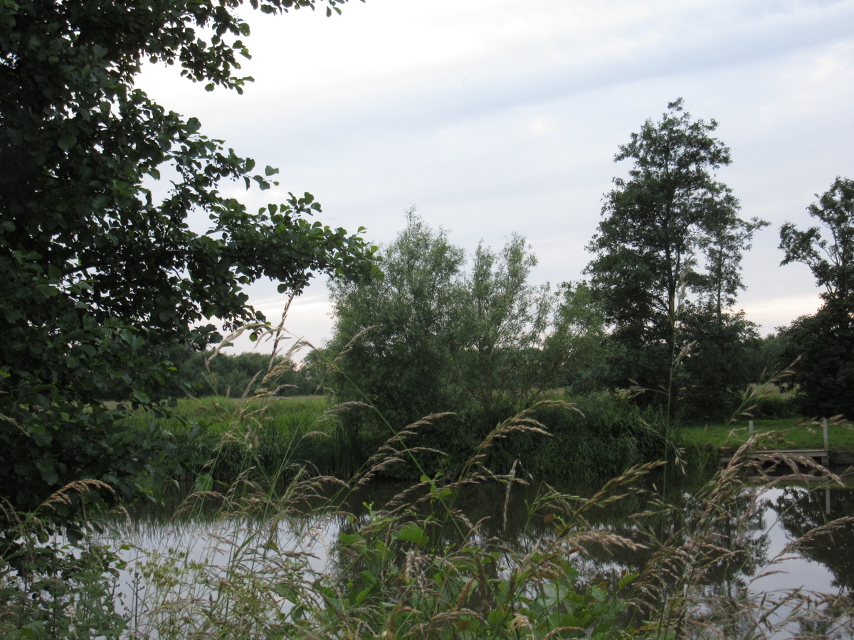 f:id:chietiara:20190811115641j:plain