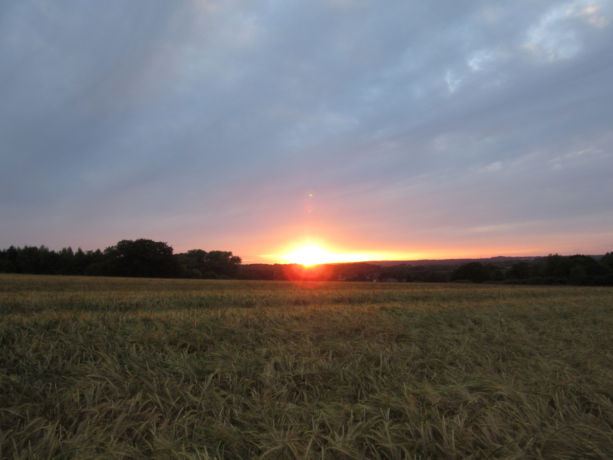 f:id:chietiara:20190812095820j:plain