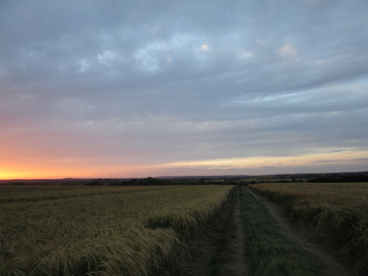 f:id:chietiara:20190812095924j:plain