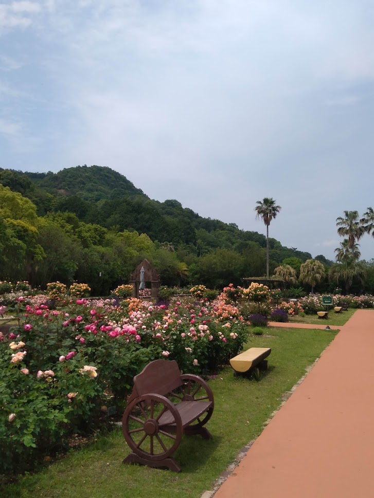 f:id:chietiara:20210527111131j:plain