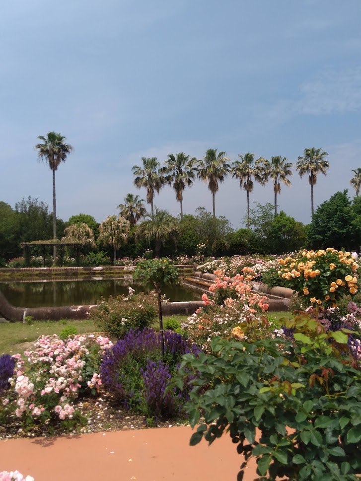 f:id:chietiara:20210527111157j:plain