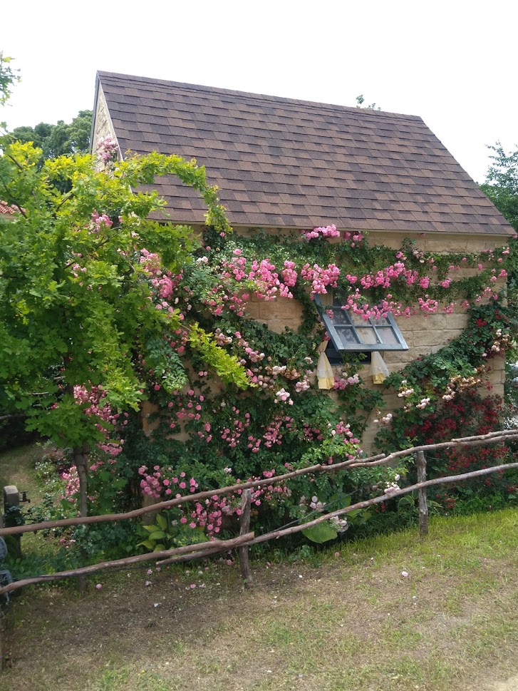 f:id:chietiara:20210527114749j:plain