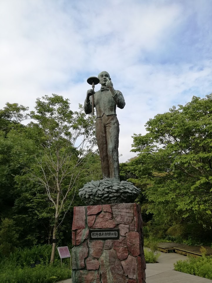 f:id:chietiara:20210716113139j:plain