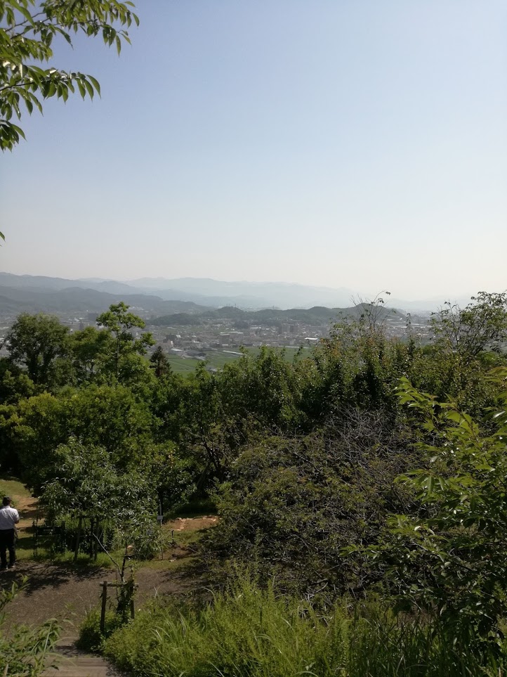 f:id:chietiara:20210716113245j:plain