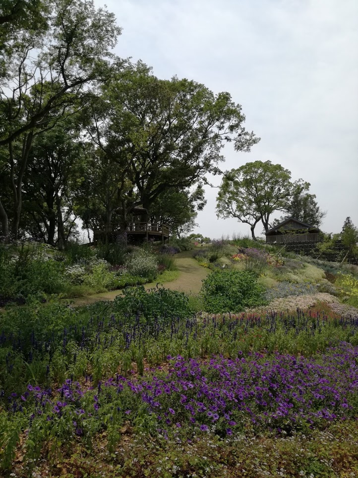 f:id:chietiara:20210716113335j:plain