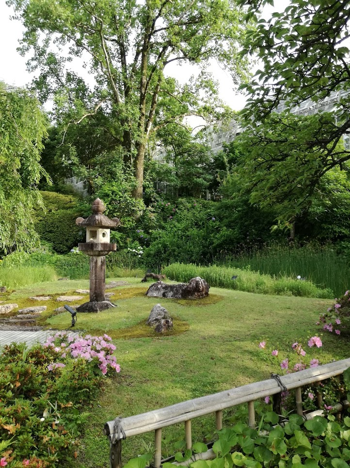 f:id:chietiara:20210716113723j:plain