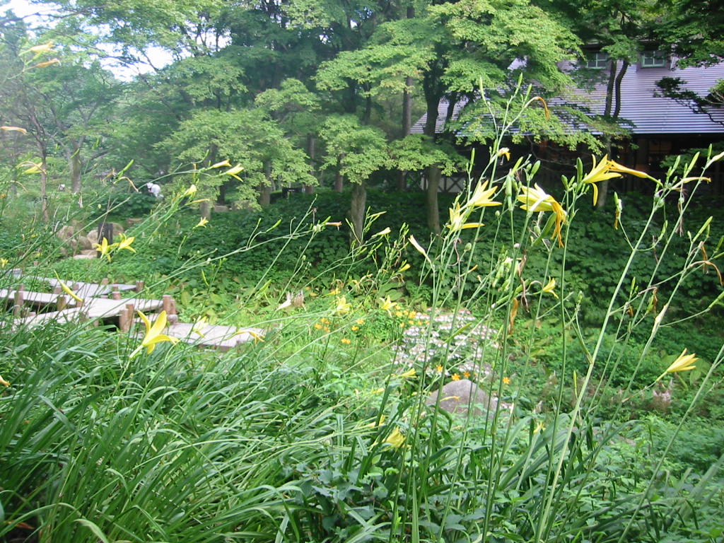 f:id:chietiara:20210724113222j:plain