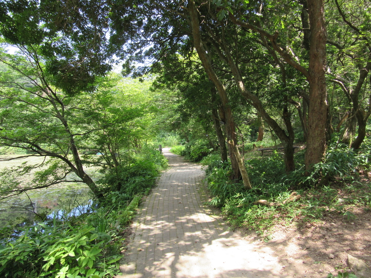 f:id:chietiara:20210724120037j:plain