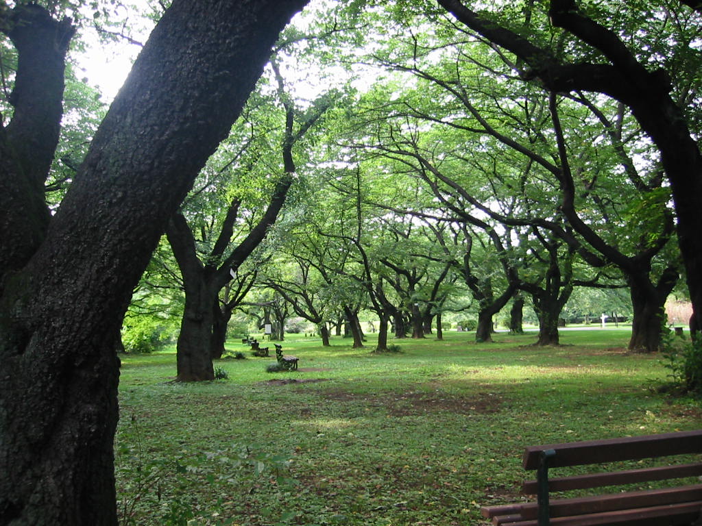 f:id:chietiara:20210804105855j:plain