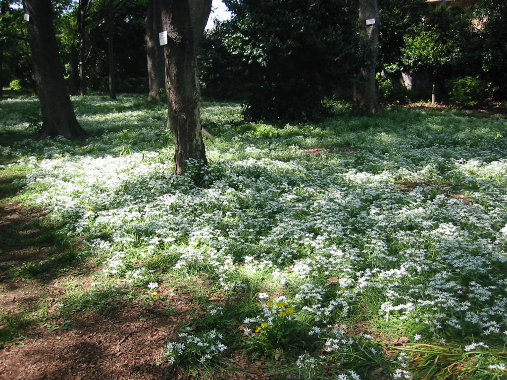 f:id:chietiara:20210804111207j:plain