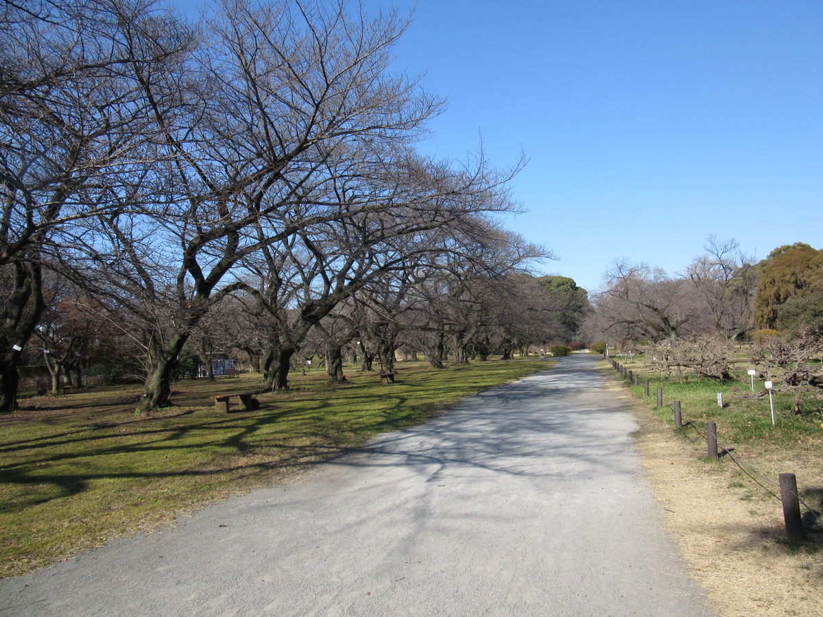 f:id:chietiara:20210804112052j:plain