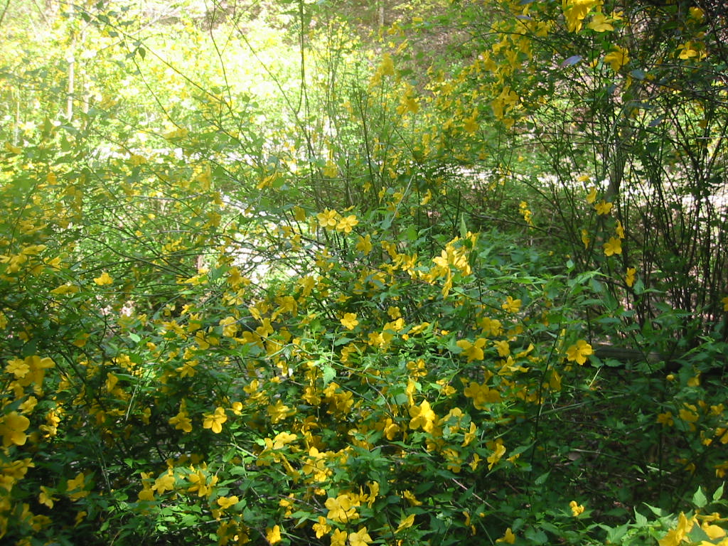 f:id:chietiara:20210809114533j:plain