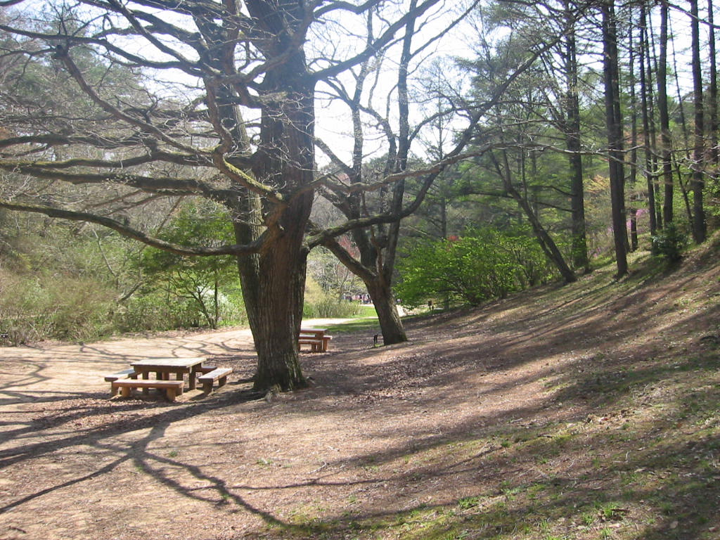 f:id:chietiara:20210809114602j:plain