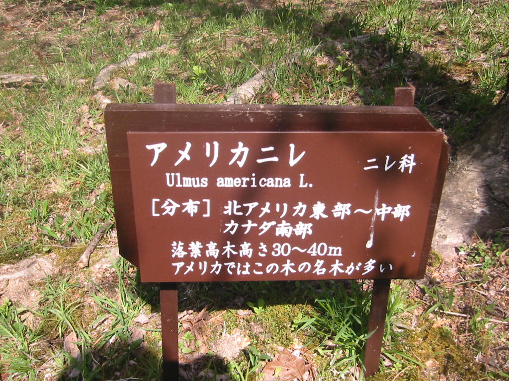 f:id:chietiara:20210809115212j:plain