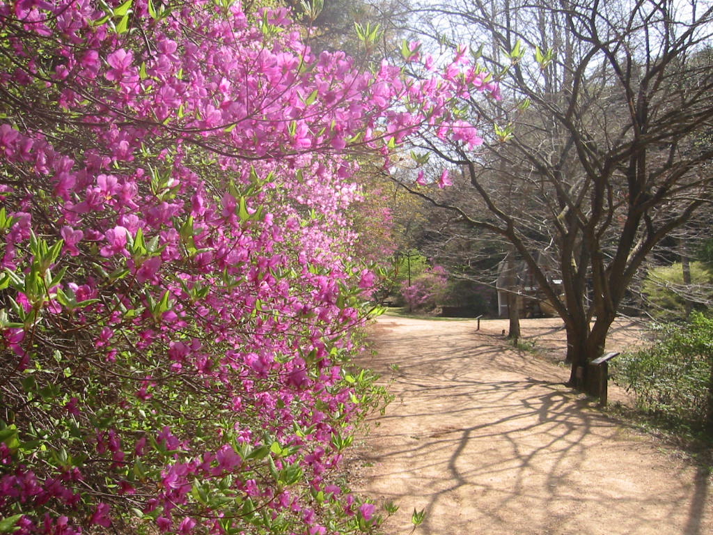 f:id:chietiara:20210809120947j:plain