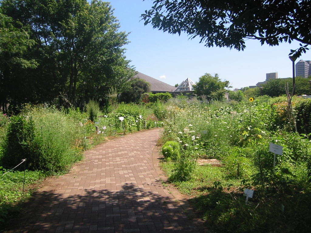 f:id:chietiara:20211128145140j:plain