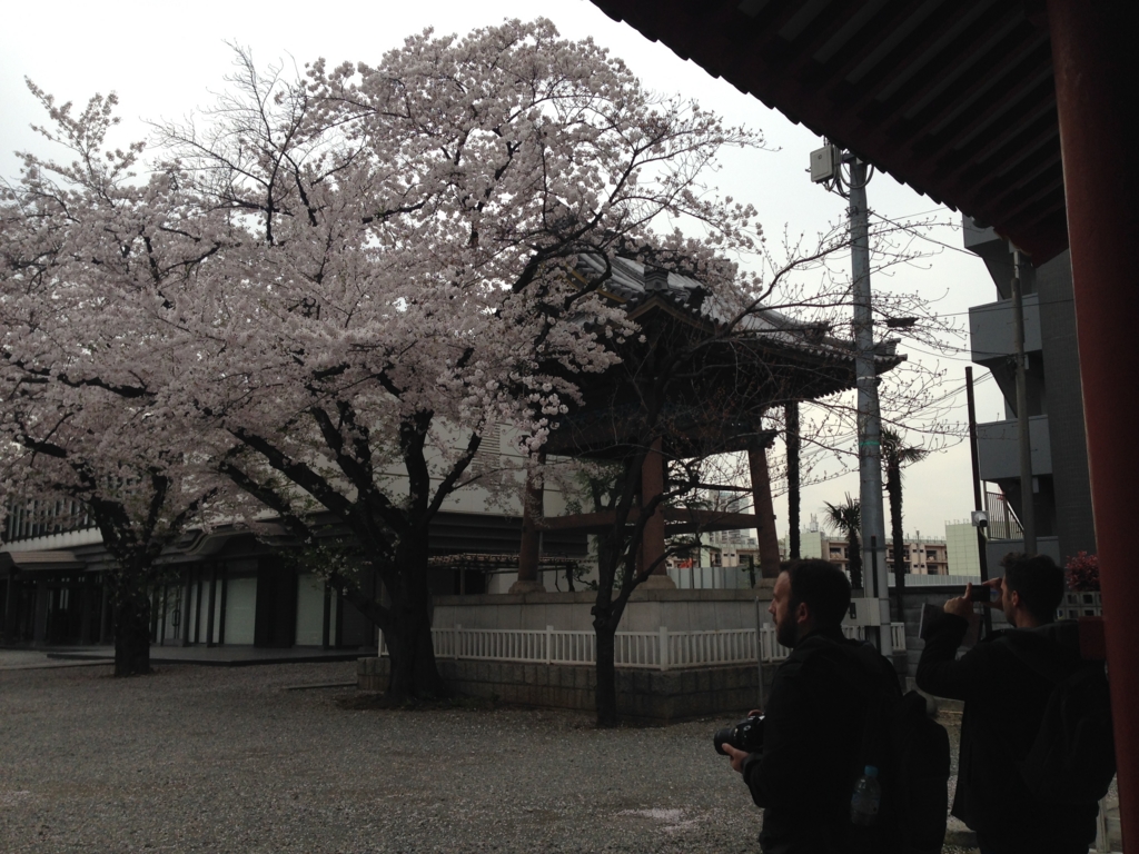 f:id:chifumimurase:20170410161713j:plain