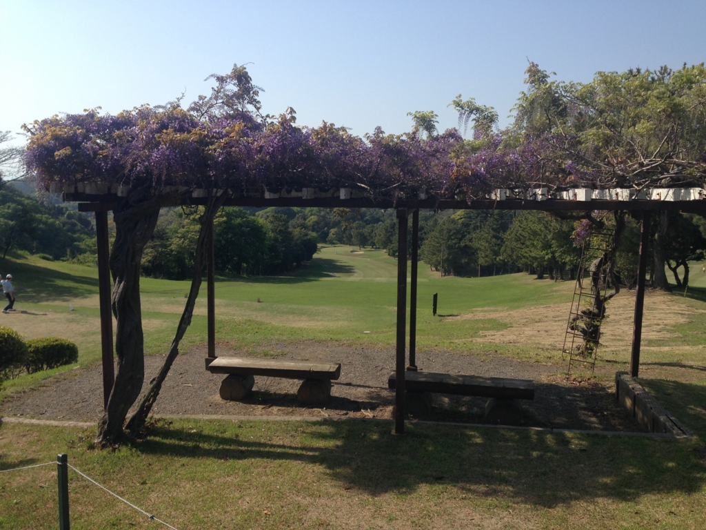 f:id:chifumimurase:20170501101009j:plain