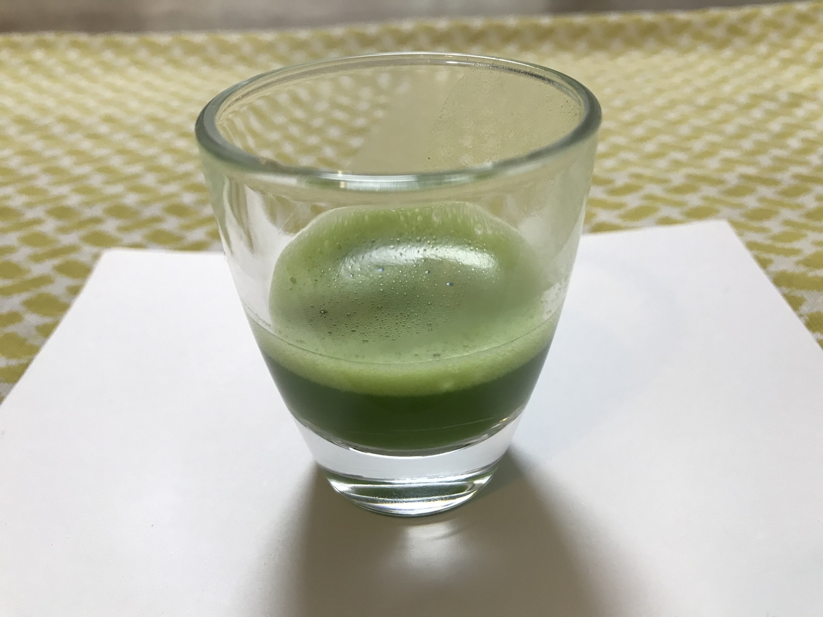 f:id:chifumimurase:20201219131919j:plain