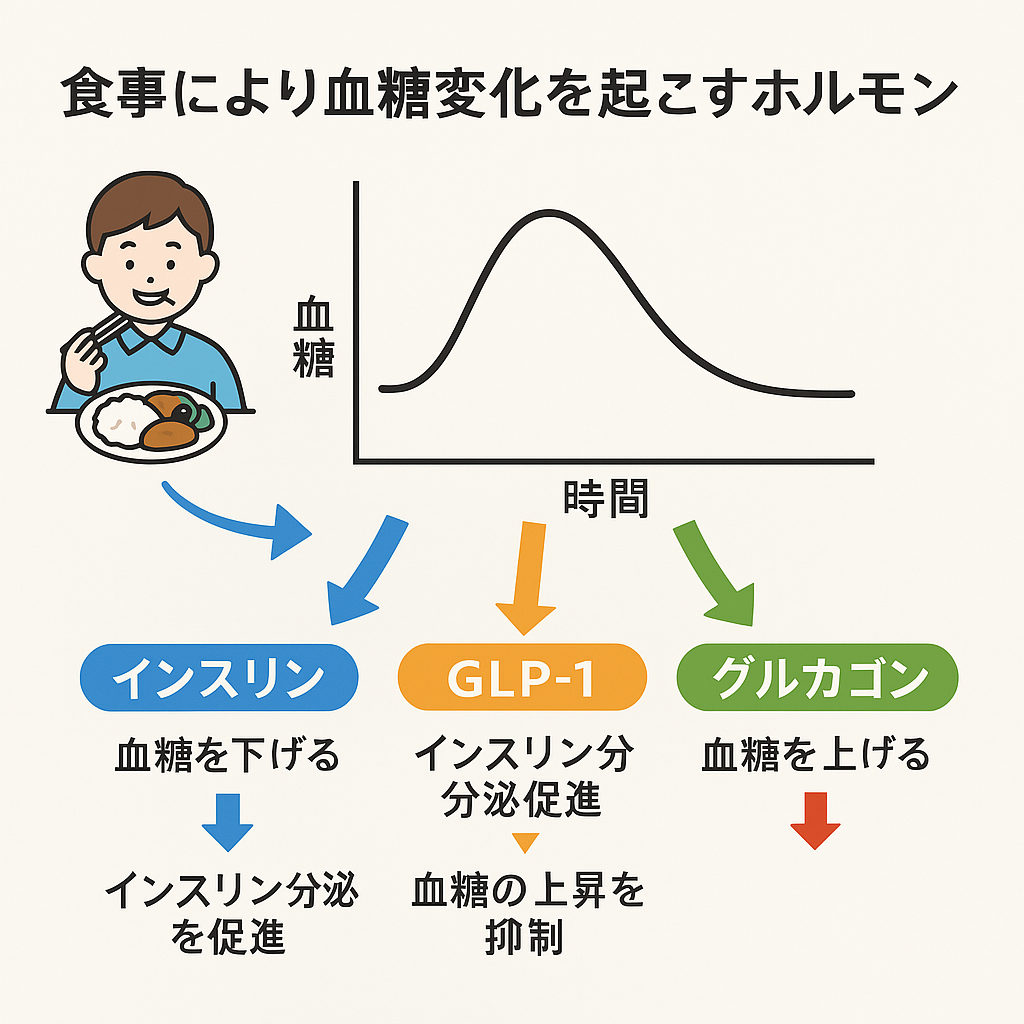20250407094759 低GI食品で食後の血糖値上昇を抑えて、健康に！
