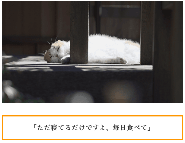 f:id:chigau-mikata:20180306103528p:plain