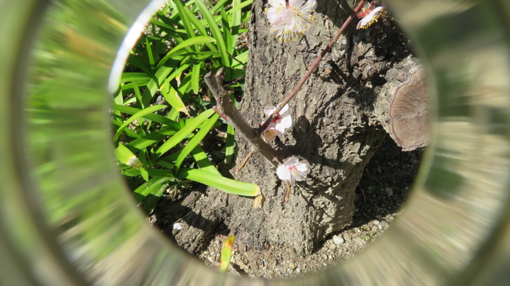 f:id:chigau-mikata:20180311212356j:plain f:id:chigau-mikata:20180311212356j:plain