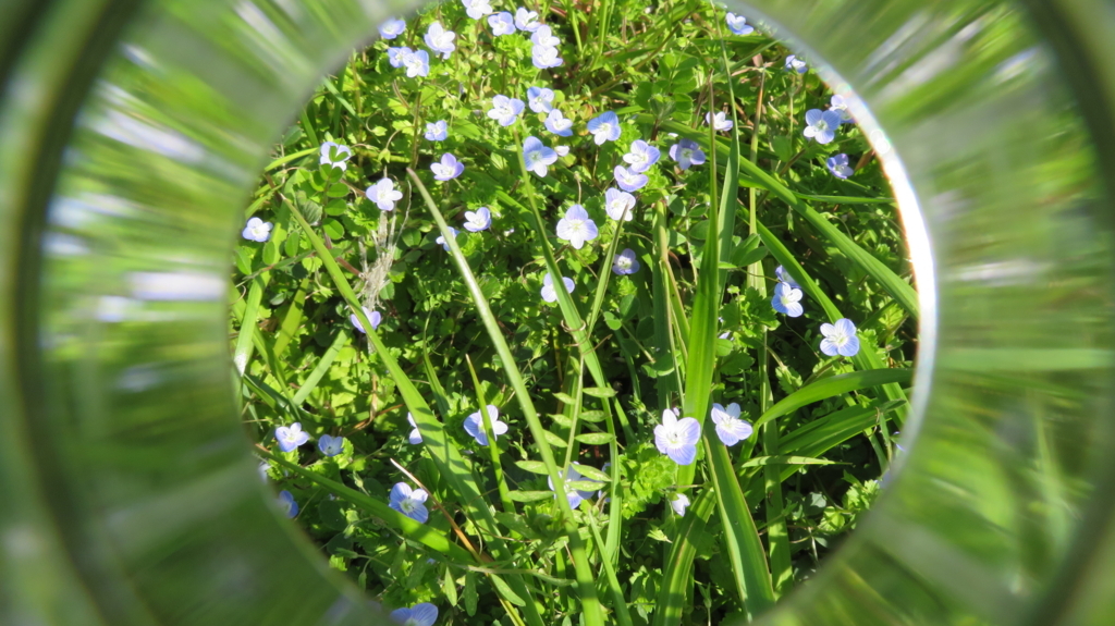 f:id:chigau-mikata:20180311212729j:plain f:id:chigau-mikata:20180311212729j:plain