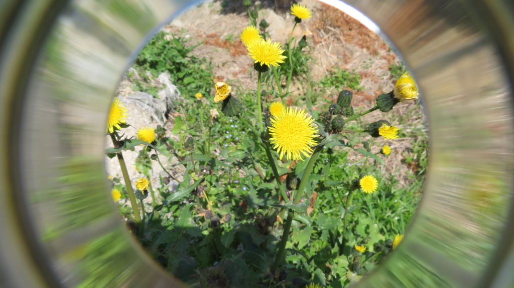 f:id:chigau-mikata:20180311212810j:plain f:id:chigau-mikata:20180311212810j:plain