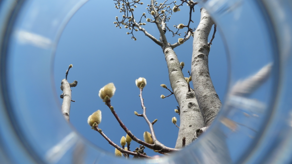 f:id:chigau-mikata:20180311212945j:plain f:id:chigau-mikata:20180311212945j:plain