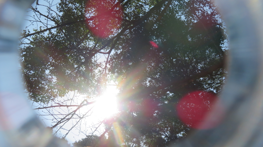 f:id:chigau-mikata:20180311213325j:plain f:id:chigau-mikata:20180311213325j:plain