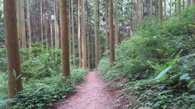 f:id:chigau-mikata:20200606174708j:plain