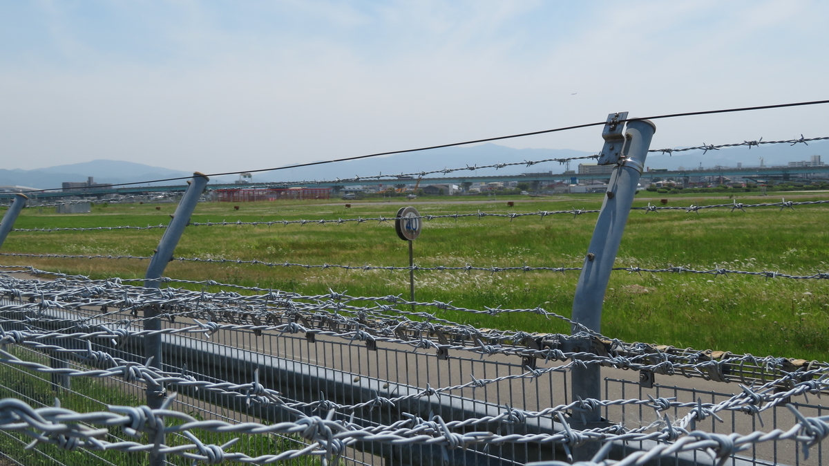 f:id:chigau-mikata:20200608171940j:plain f:id:chigau-mikata:20200608171940j:plain