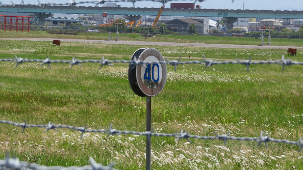 f:id:chigau-mikata:20200608172223j:plain f:id:chigau-mikata:20200608172223j:plain