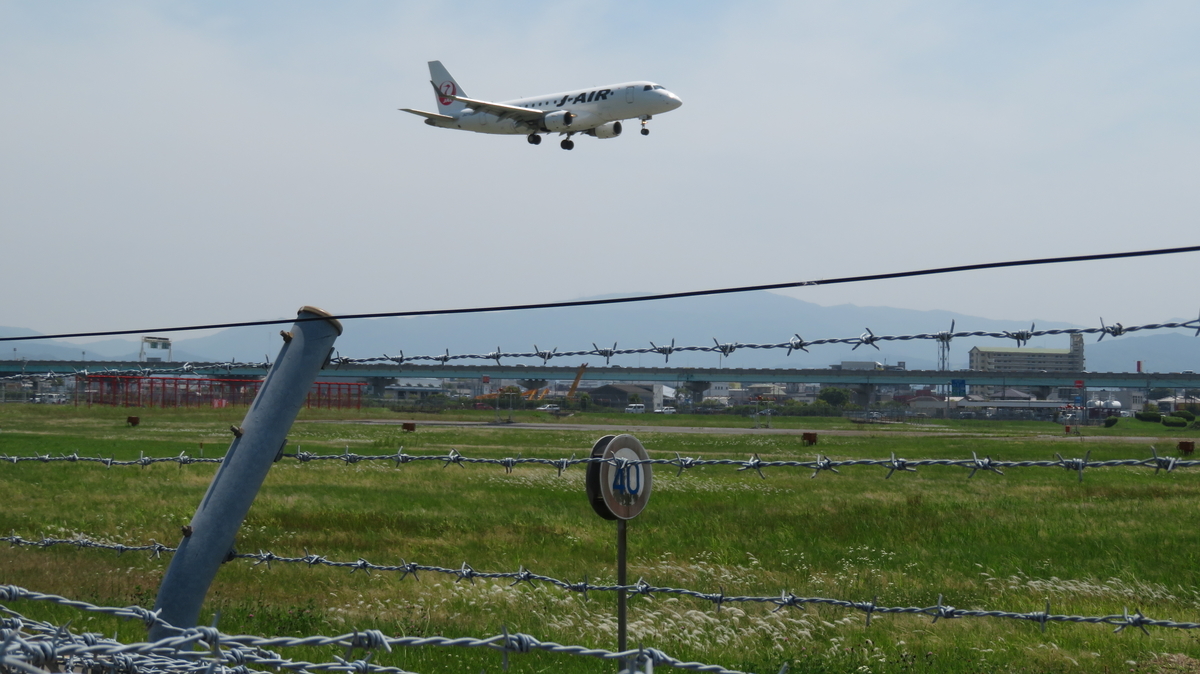 f:id:chigau-mikata:20200608173606j:plain f:id:chigau-mikata:20200608173606j:plain