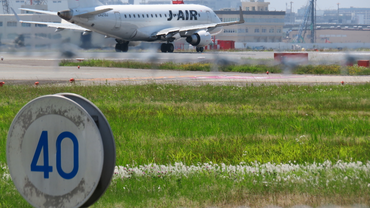 f:id:chigau-mikata:20200608174138j:plain f:id:chigau-mikata:20200608174138j:plain