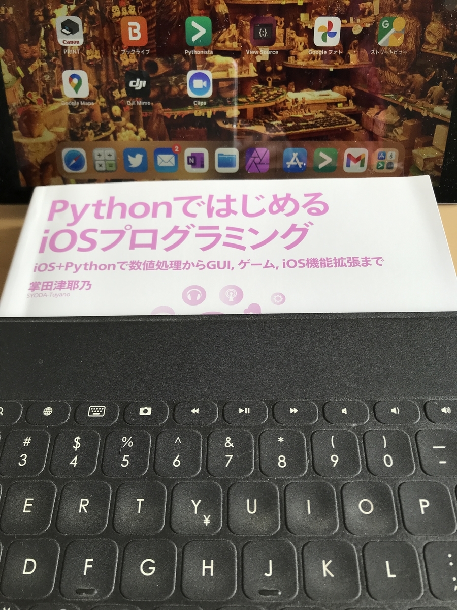 f:id:chigau-mikata:20220205120314j:plain