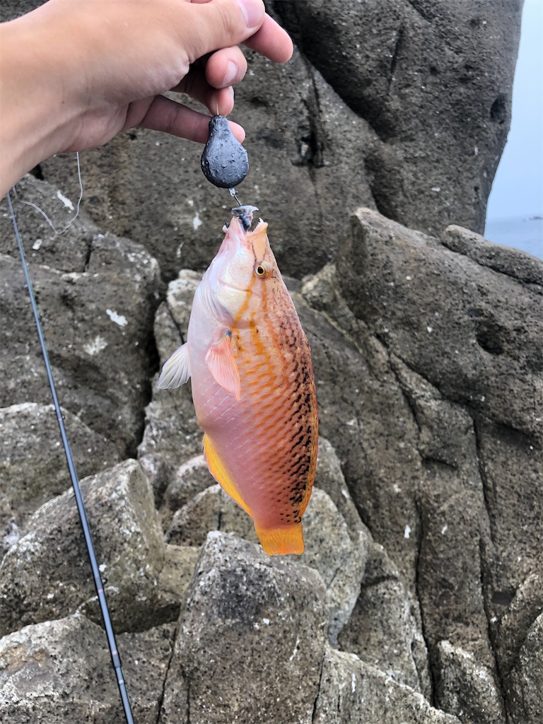 f:id:chigeofishyeah:20200708230315j:image f:id:chigeofishyeah:20200708230315j:image