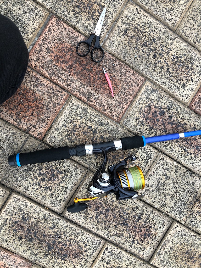 f:id:chigeofishyeah:20221113202116j:image