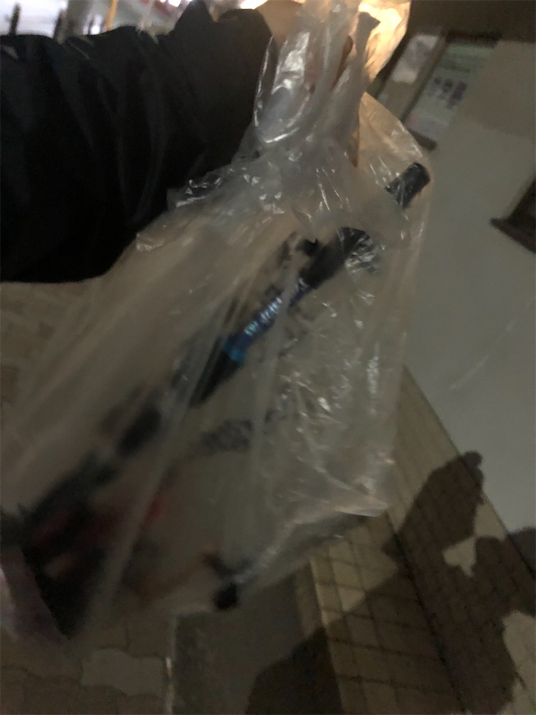 f:id:chigeofishyeah:20221113202120j:image