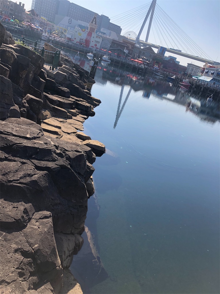 f:id:chigeofishyeah:20221113202710j:image