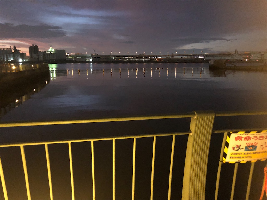 f:id:chigeofishyeah:20221113203216j:image