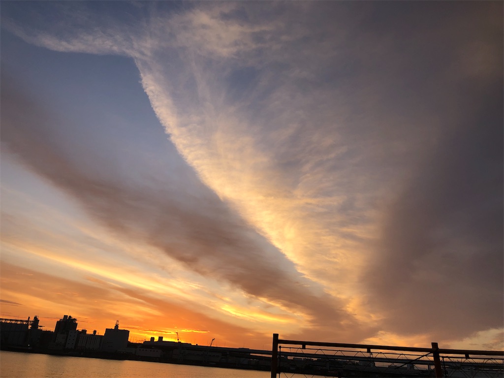 f:id:chigeofishyeah:20221113203629j:image