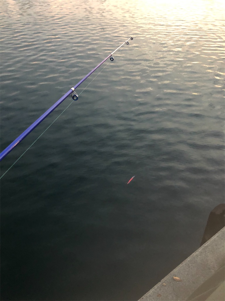 f:id:chigeofishyeah:20221113203653j:image