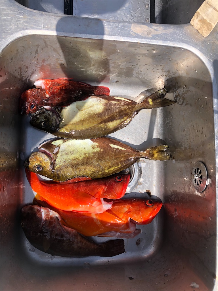 f:id:chigeofishyeah:20230910205123j:image f:id:chigeofishyeah:20230910205123j:image